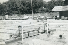 1974_photo4_SWWaterPolo