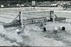 1974_photo6_SWWaterPolo