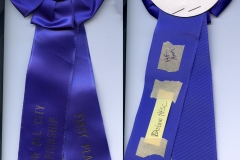 1980_ribbon_drolsomhf