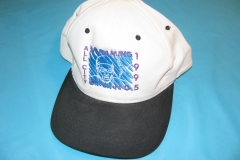 1995_hat